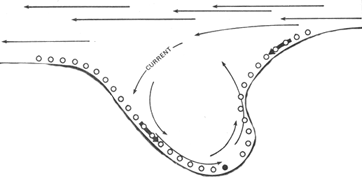 Figure 3 shows how currents can change your fishing tactics.